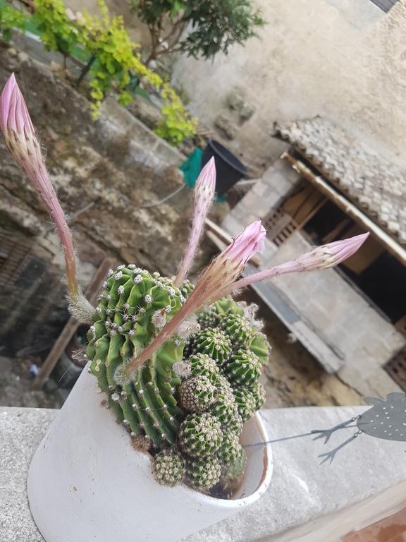La Bomboniera Holiday Home Matera Zewnętrze zdjęcie