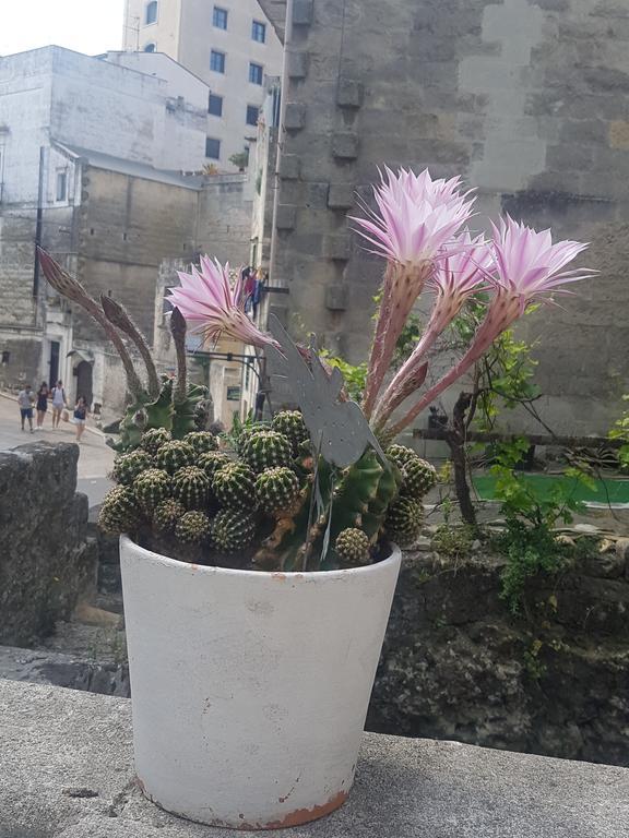 La Bomboniera Holiday Home Matera Zewnętrze zdjęcie